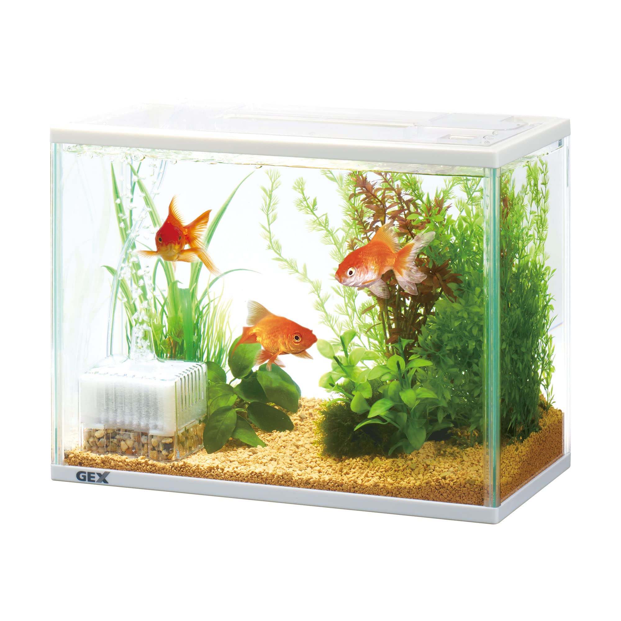 Amazon.co.jp: ジェックス GEX 金魚元気 ぶくぶく水キレイセット